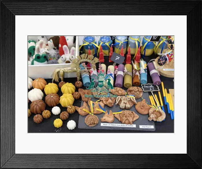 Framed Print : D-C-D-0-1-9-0 Crufts 2024 NEC Birmingham Day 3 Framed Print : D-C-D-0-1-9-0 Crufts 2024 NEC Birmingham Day 3