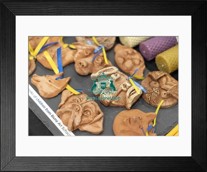 Framed Print : D-C-D-0-1-9-0 Crufts 2024 NEC Birmingham Day 3 Framed Print : D-C-D-0-1-9-0 Crufts 2024 NEC Birmingham Day 3