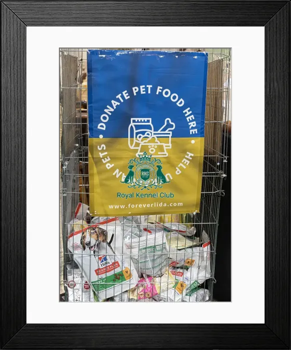 Framed Print : D-C-D-0-1-9-0 Crufts 2024 NEC Birmingham Day 3 Framed Print : D-C-D-0-1-9-0 Crufts 2024 NEC Birmingham Day 3