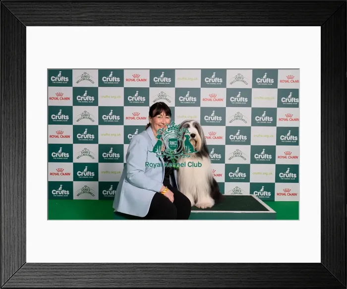 Framed Print : D-C-D-0-1-9-0 Crufts 2024 NEC Birmingham Pastoral Framed Print : D-C-D-0-1-9-0 Crufts 2024 NEC Birmingham Pastoral