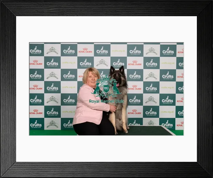 Framed Print : D-C-D-0-1-9-0 Crufts 2024 NEC Birmingham Pastoral Framed Print : D-C-D-0-1-9-0 Crufts 2024 NEC Birmingham Pastoral