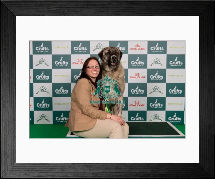 Framed Print : D-C-D-0-1-9-0 Crufts 2024 NEC Birmingham Pastoral Framed Print : D-C-D-0-1-9-0 Crufts 2024 NEC Birmingham Pastoral