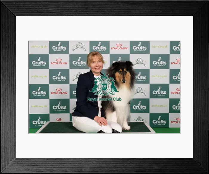 Framed Print : D-C-D-0-1-9-0 Crufts 2024 NEC Birmingham Pastoral