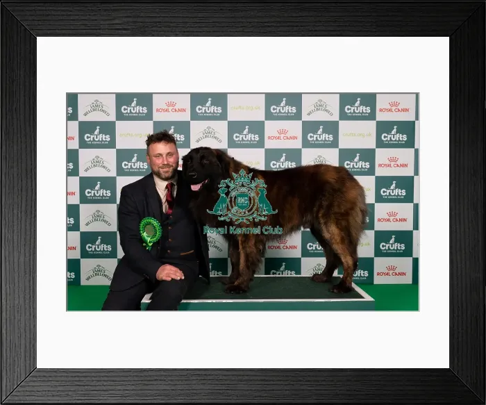 Framed Print : D-C-D-0-1-9-0 Crufts 2024 NEC Birmingham Pastoral Framed Print : D-C-D-0-1-9-0 Crufts 2024 NEC Birmingham Pastoral