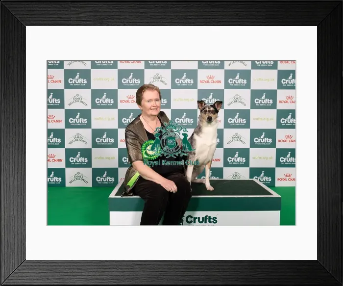 Framed Print : D-C-D-0-1-9-0 Crufts 2024 NEC Birmingham Pastoral Framed Print : D-C-D-0-1-9-0 Crufts 2024 NEC Birmingham Pastoral