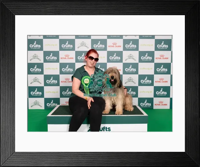 Framed Print : D-C-D-0-1-9-0 Crufts 2024 NEC Birmingham Pastoral Framed Print : D-C-D-0-1-9-0 Crufts 2024 NEC Birmingham Pastoral