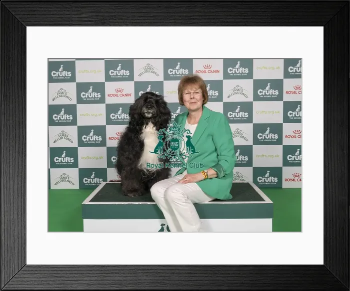 Framed Print : D-C-D-0-1-9-0 Crufts 2024 NEC Birmingham Working Framed Print : D-C-D-0-1-9-0 Crufts 2024 NEC Birmingham Working