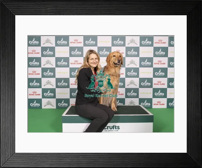 Framed Print : D-C-D-0-1-9-0 Crufts 2024 NEC Birmingham Working