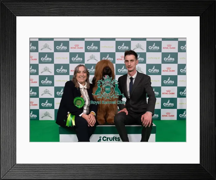 Framed Print : D-C-D-0-1-9-0 Crufts 2024 NEC Birmingham Pastoral Framed Print : D-C-D-0-1-9-0 Crufts 2024 NEC Birmingham Pastoral