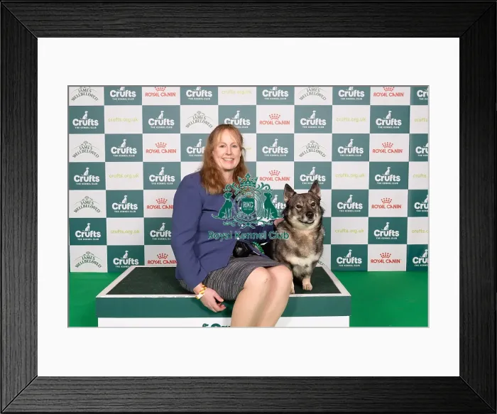 Framed Print : D-C-D-0-1-9-0 Crufts 2024 NEC Birmingham Pastoral Framed Print : D-C-D-0-1-9-0 Crufts 2024 NEC Birmingham Pastoral