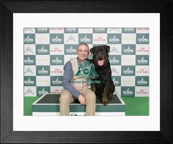 Framed Print : D-C-D-0-1-9-0 Crufts 2024 NEC Birmingham Working Framed Print : D-C-D-0-1-9-0 Crufts 2024 NEC Birmingham Working