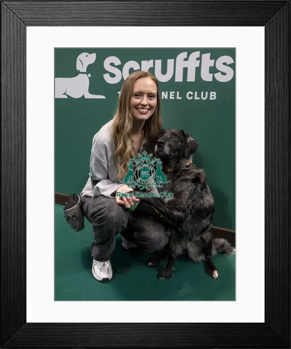 Framed Print : D-C-D-0-1-9-0 Crufts 2024 NEC Birmingham Day 3 Framed Print : D-C-D-0-1-9-0 Crufts 2024 NEC Birmingham Day 3