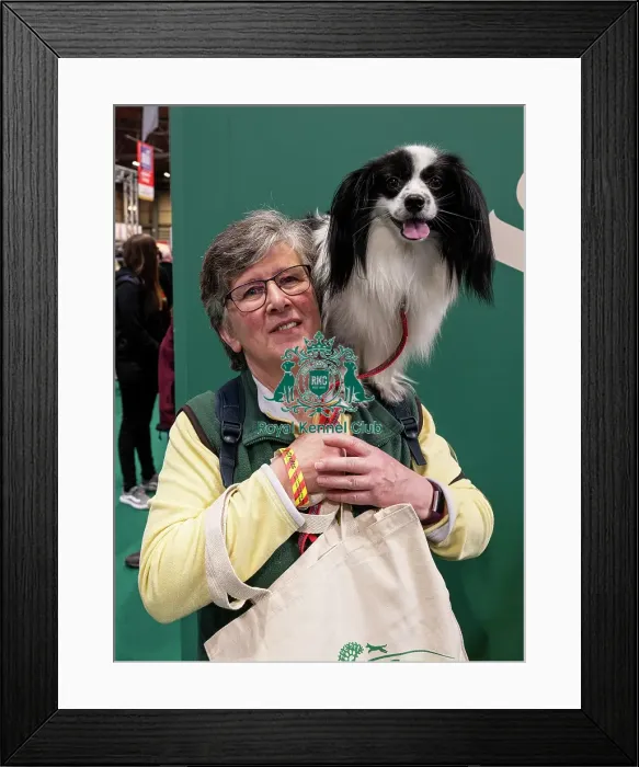 Framed Print : D-C-D-0-1-9-0 Crufts 2024 NEC Birmingham Day 3 Framed Print : D-C-D-0-1-9-0 Crufts 2024 NEC Birmingham Day 3