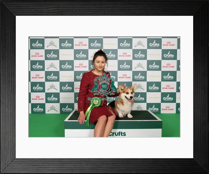 Framed Print : D-C-D-0-1-9-0 Crufts 2024 NEC Birmingham Pastoral Framed Print : D-C-D-0-1-9-0 Crufts 2024 NEC Birmingham Pastoral