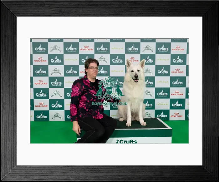 Framed Print : D-C-D-0-1-9-0 Crufts 2024 NEC Birmingham Pastoral Framed Print : D-C-D-0-1-9-0 Crufts 2024 NEC Birmingham Pastoral