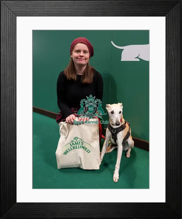 Framed Print : D-C-D-0-1-9-0 Crufts 2024 NEC Birmingham Day 3 Framed Print : D-C-D-0-1-9-0 Crufts 2024 NEC Birmingham Day 3