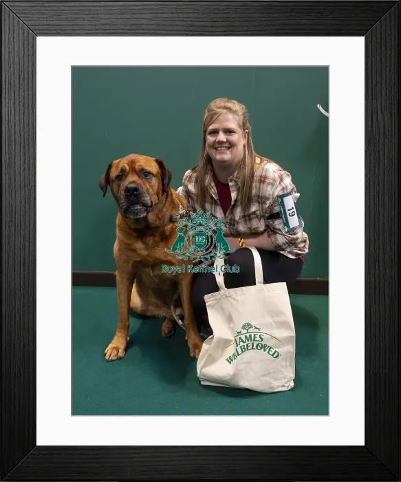 Framed Print : D-C-D-0-1-9-0 Crufts 2024 NEC Birmingham Day 3 Framed Print : D-C-D-0-1-9-0 Crufts 2024 NEC Birmingham Day 3