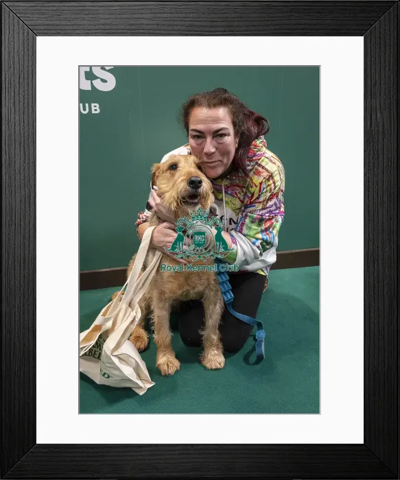 Framed Print : D-C-D-0-1-9-0 Crufts 2024 NEC Birmingham Day 3 Framed Print : D-C-D-0-1-9-0 Crufts 2024 NEC Birmingham Day 3