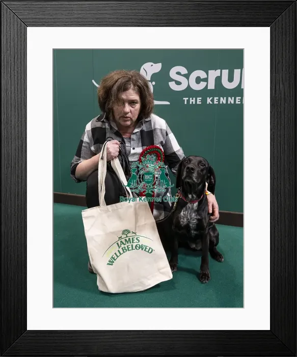 Framed Print : D-C-D-0-1-9-0 Crufts 2024 NEC Birmingham Day 3 Framed Print : D-C-D-0-1-9-0 Crufts 2024 NEC Birmingham Day 3