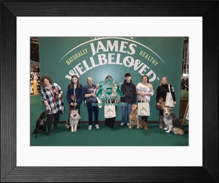 Framed Print : D-C-D-0-1-9-0 Crufts 2024 NEC Birmingham Day 3 Framed Print : D-C-D-0-1-9-0 Crufts 2024 NEC Birmingham Day 3