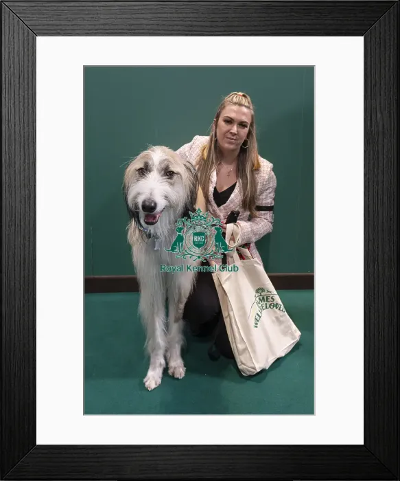 Framed Print : D-C-D-0-1-9-0 Crufts 2024 NEC Birmingham Day 3