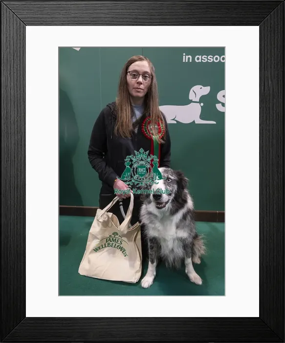 Framed Print : D-C-D-0-1-9-0 Crufts 2024 NEC Birmingham Day 3