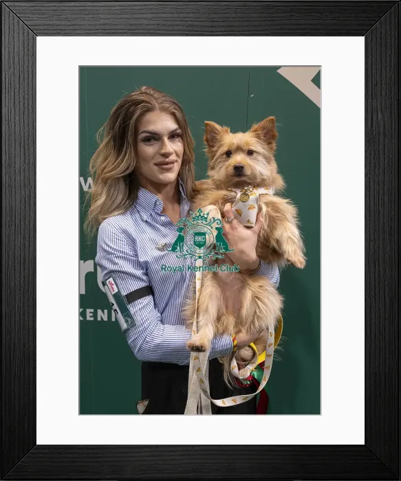 Framed Print : D-C-D-0-1-9-0 Crufts 2024 NEC Birmingham Day 3 Framed Print : D-C-D-0-1-9-0 Crufts 2024 NEC Birmingham Day 3