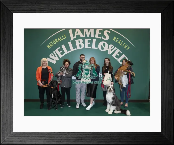 Framed Print : D-C-D-0-1-9-0 Crufts 2024 NEC Birmingham Day 3 Framed Print : D-C-D-0-1-9-0 Crufts 2024 NEC Birmingham Day 3