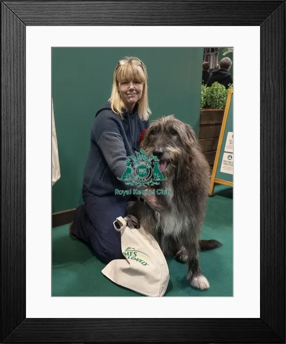 Framed Print : D-C-D-0-1-9-0 Crufts 2024 NEC Birmingham Day 3 Framed Print : D-C-D-0-1-9-0 Crufts 2024 NEC Birmingham Day 3