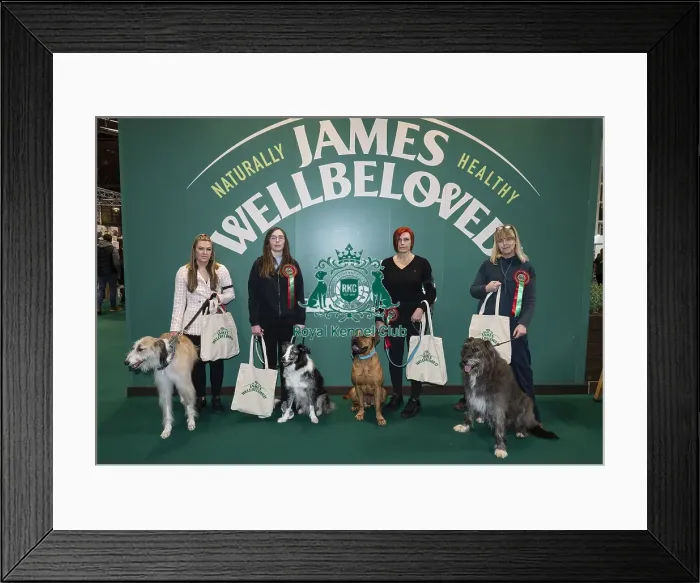 Framed Print : D-C-D-0-1-9-0 Crufts 2024 NEC Birmingham Day 3