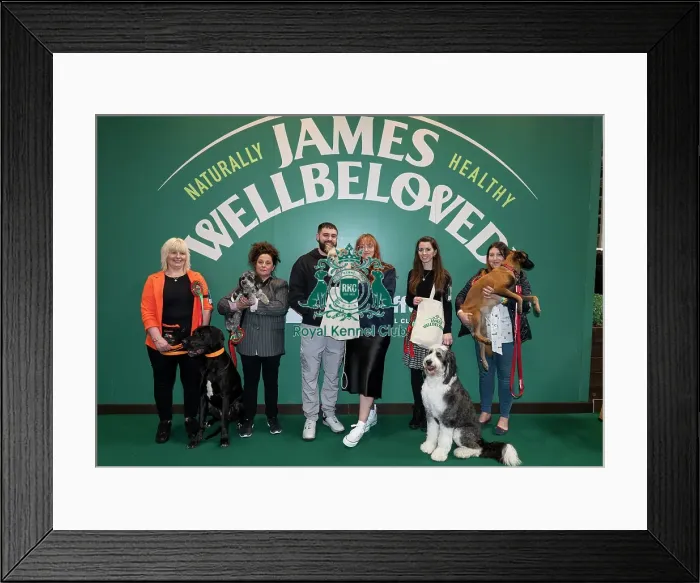 Framed Print : D-C-D-0-1-9-0 Crufts 2024 NEC Birmingham Day 3 Framed Print : D-C-D-0-1-9-0 Crufts 2024 NEC Birmingham Day 3