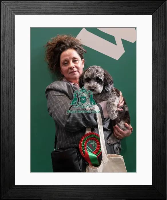 Framed Print : D-C-D-0-1-9-0 Crufts 2024 NEC Birmingham Day 3