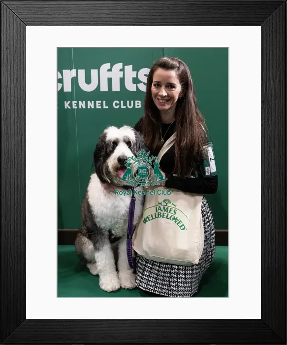 Framed Print : D-C-D-0-1-9-0 Crufts 2024 NEC Birmingham Day 3 Framed Print : D-C-D-0-1-9-0 Crufts 2024 NEC Birmingham Day 3