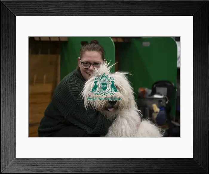 Framed Print : D-C-D-0-1-9-0 Crufts 2024 NEC Birmingham Day 3 Framed Print : D-C-D-0-1-9-0 Crufts 2024 NEC Birmingham Day 3