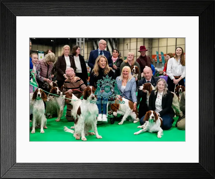 Framed Print : D-C-D-0-1-9-0 Crufts 2024 NEC Birmingham Day 2 Framed Print : D-C-D-0-1-9-0 Crufts 2024 NEC Birmingham Day 2