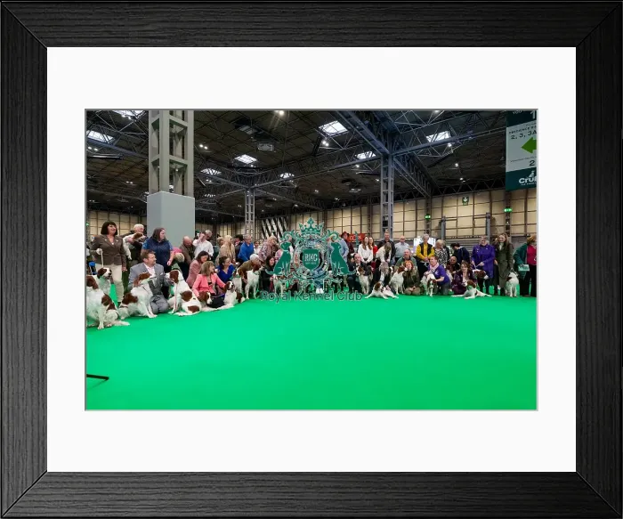 Framed Print : D-C-D-0-1-9-0 Crufts 2024 NEC Birmingham Day 2
