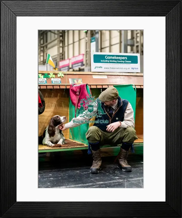 Framed Print : D-C-D-0-1-9-0 Crufts 2024 NEC Birmingham Day 2 Framed Print : D-C-D-0-1-9-0 Crufts 2024 NEC Birmingham Day 2