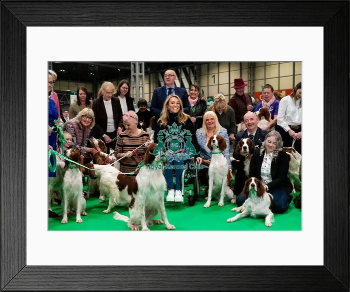 Framed Print : D-C-D-0-1-9-0 Crufts 2024 NEC Birmingham Day 2 Framed Print : D-C-D-0-1-9-0 Crufts 2024 NEC Birmingham Day 2