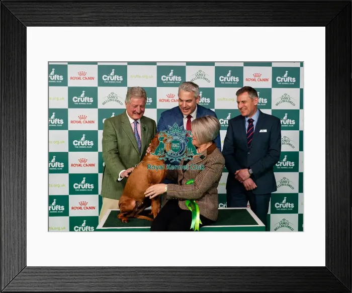 Framed Print : D-C-D-0-1-9-0 Crufts 2024 NEC Birmingham Day 2 Framed Print : D-C-D-0-1-9-0 Crufts 2024 NEC Birmingham Day 2