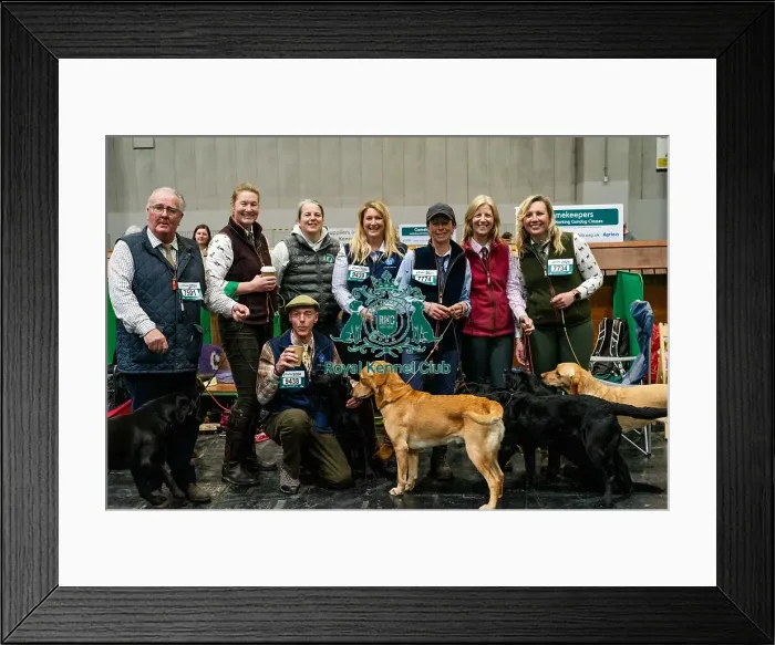 Framed Print : D-C-D-0-1-9-0 Crufts 2024 NEC Birmingham Day 2 Framed Print : D-C-D-0-1-9-0 Crufts 2024 NEC Birmingham Day 2