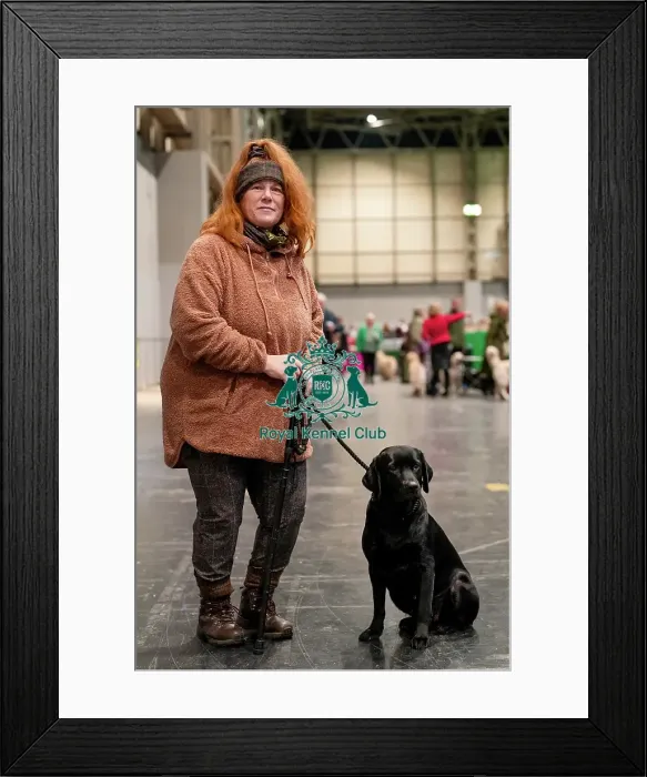 Framed Print : D-C-D-0-1-9-0 Crufts 2024 NEC Birmingham Day 2 Framed Print : D-C-D-0-1-9-0 Crufts 2024 NEC Birmingham Day 2
