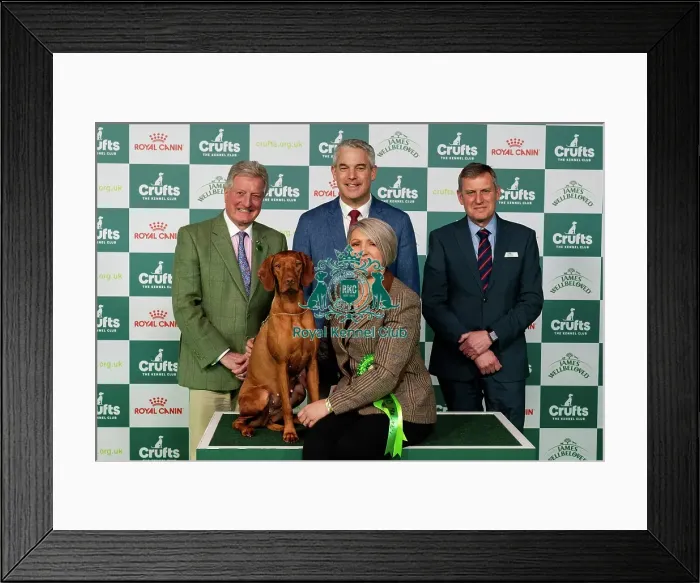 Framed Print : D-C-D-0-1-9-0 Crufts 2024 NEC Birmingham Day 2 Framed Print : D-C-D-0-1-9-0 Crufts 2024 NEC Birmingham Day 2