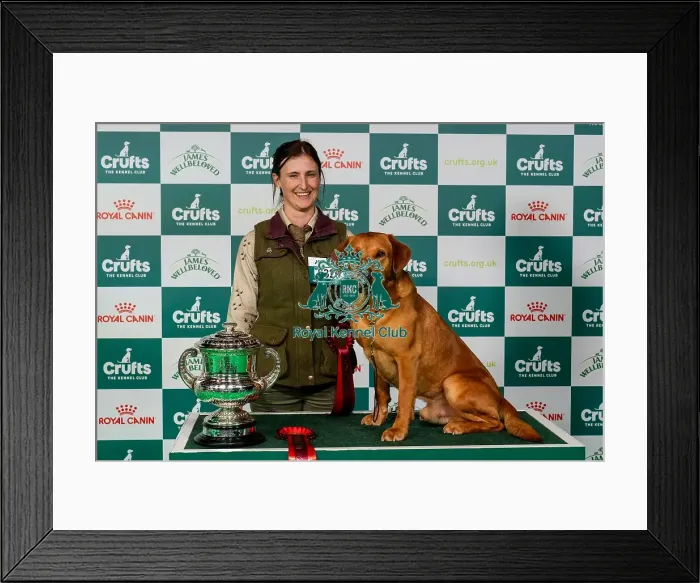 Framed Print : D-C-D-0-1-9-0 Crufts 2024 NEC Birmingham Day 2