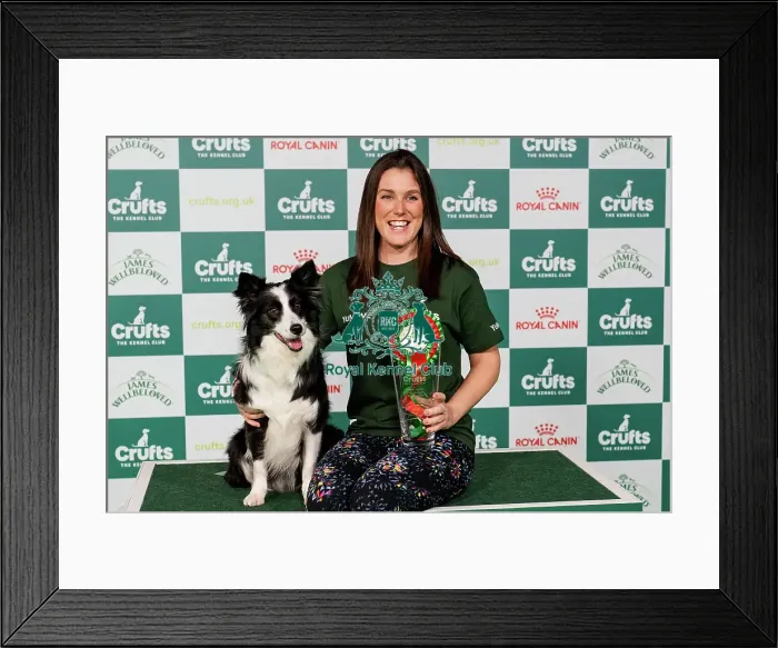 Framed Print : D-C-D-0-1-9-0 Crufts 2024 NEC Birmingham Day 2 Framed Print : D-C-D-0-1-9-0 Crufts 2024 NEC Birmingham Day 2