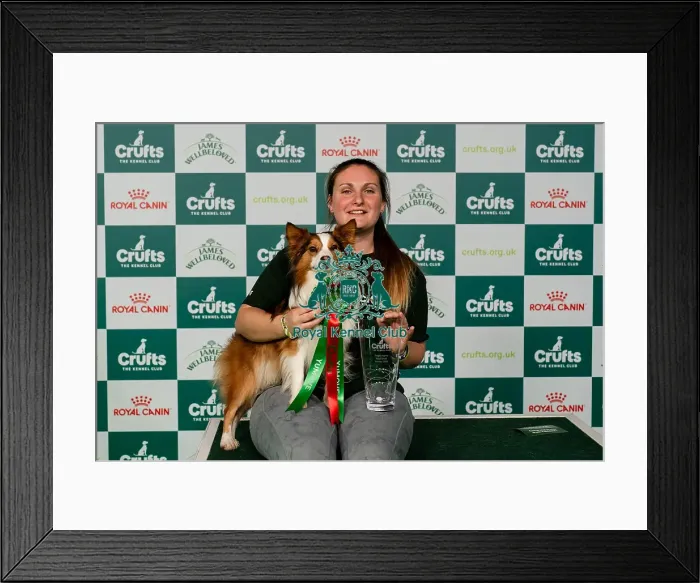 Framed Print : D-C-D-0-1-9-0 Crufts 2024 NEC Birmingham Day 2 Framed Print : D-C-D-0-1-9-0 Crufts 2024 NEC Birmingham Day 2