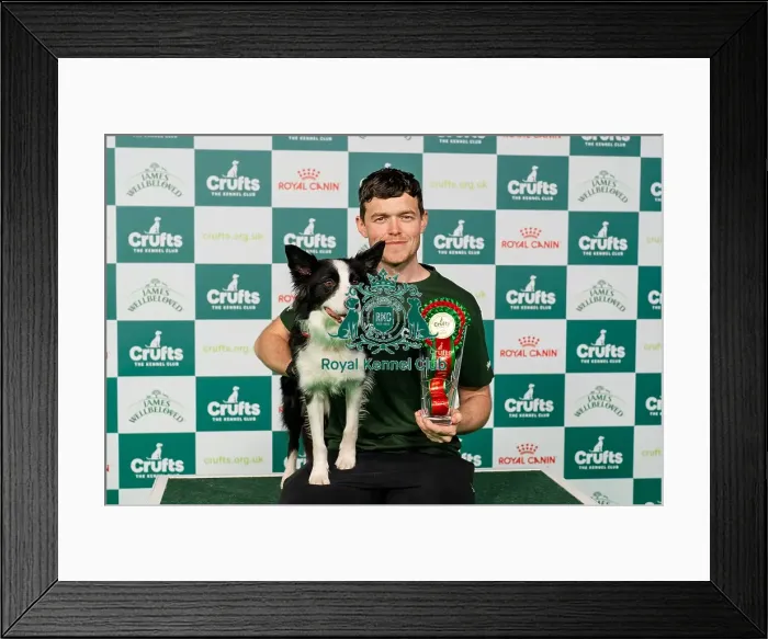 Framed Print : D-C-D-0-1-9-0 Crufts 2024 NEC Birmingham Day 2 Framed Print : D-C-D-0-1-9-0 Crufts 2024 NEC Birmingham Day 2