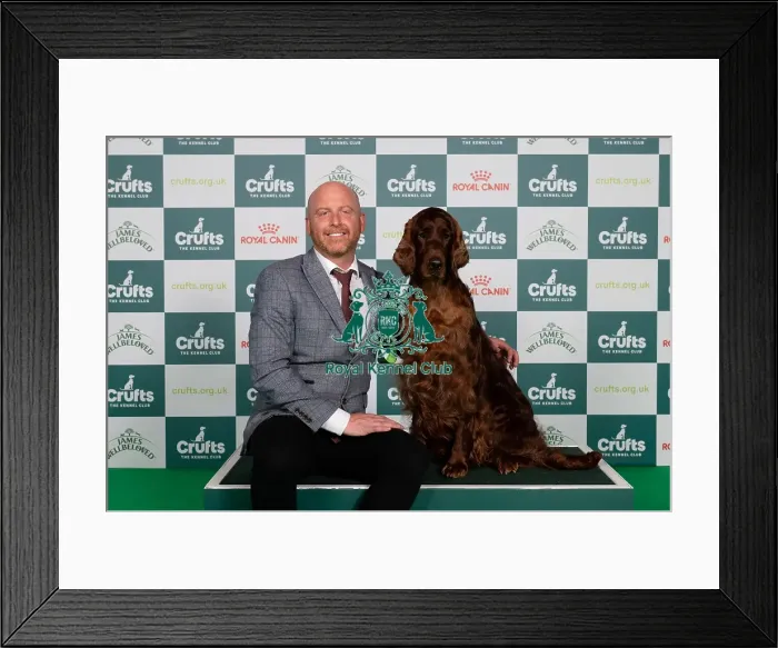 Framed Print : D-C-D-0-1-9-0 Crufts 2024 NEC Birmingham Gundog