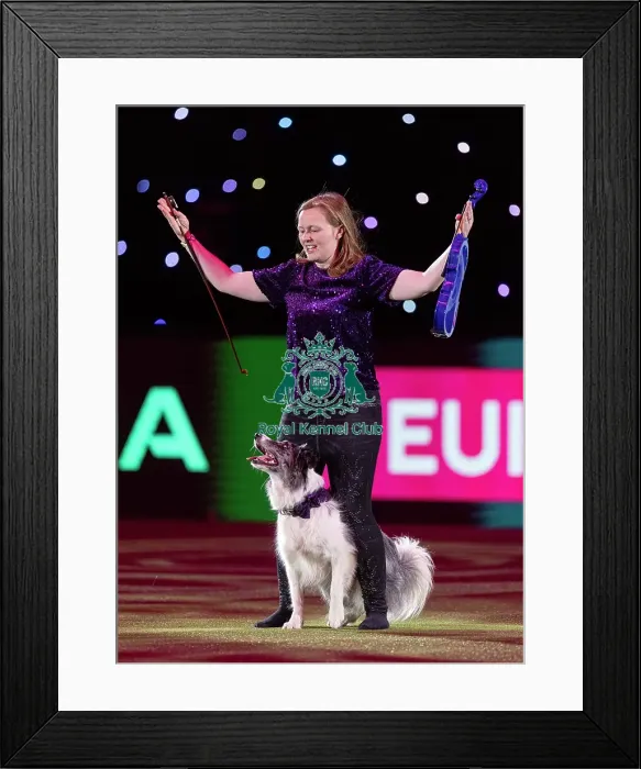 Framed Print : D-C-D-0-1-9-0 Crufts 2024 NEC Birmingham Day 2 Framed Print : D-C-D-0-1-9-0 Crufts 2024 NEC Birmingham Day 2