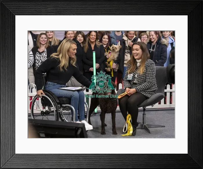 Framed Print : D-C-D-0-1-9-0 Crufts 2024 NEC Birmingham Day 2 Framed Print : D-C-D-0-1-9-0 Crufts 2024 NEC Birmingham Day 2