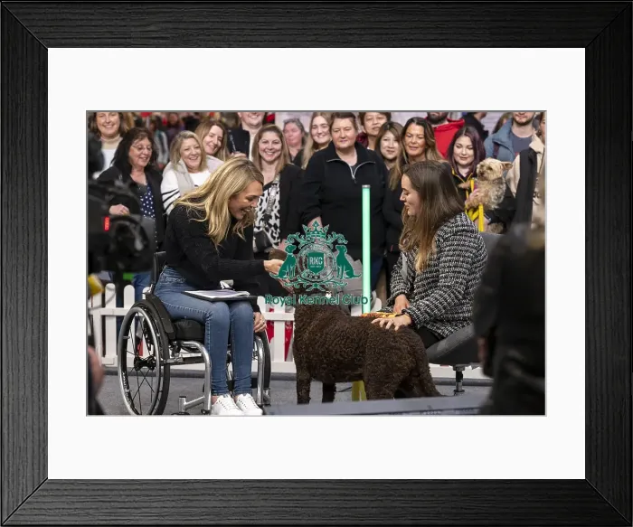 Framed Print : D-C-D-0-1-9-0 Crufts 2024 NEC Birmingham Day 2 Framed Print : D-C-D-0-1-9-0 Crufts 2024 NEC Birmingham Day 2